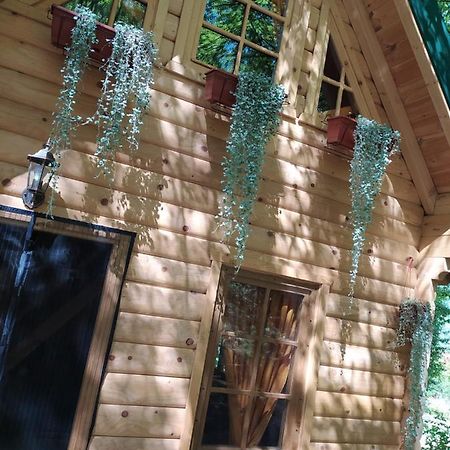 Brvnara Fairy Tale Villa Цетине Екстериор снимка