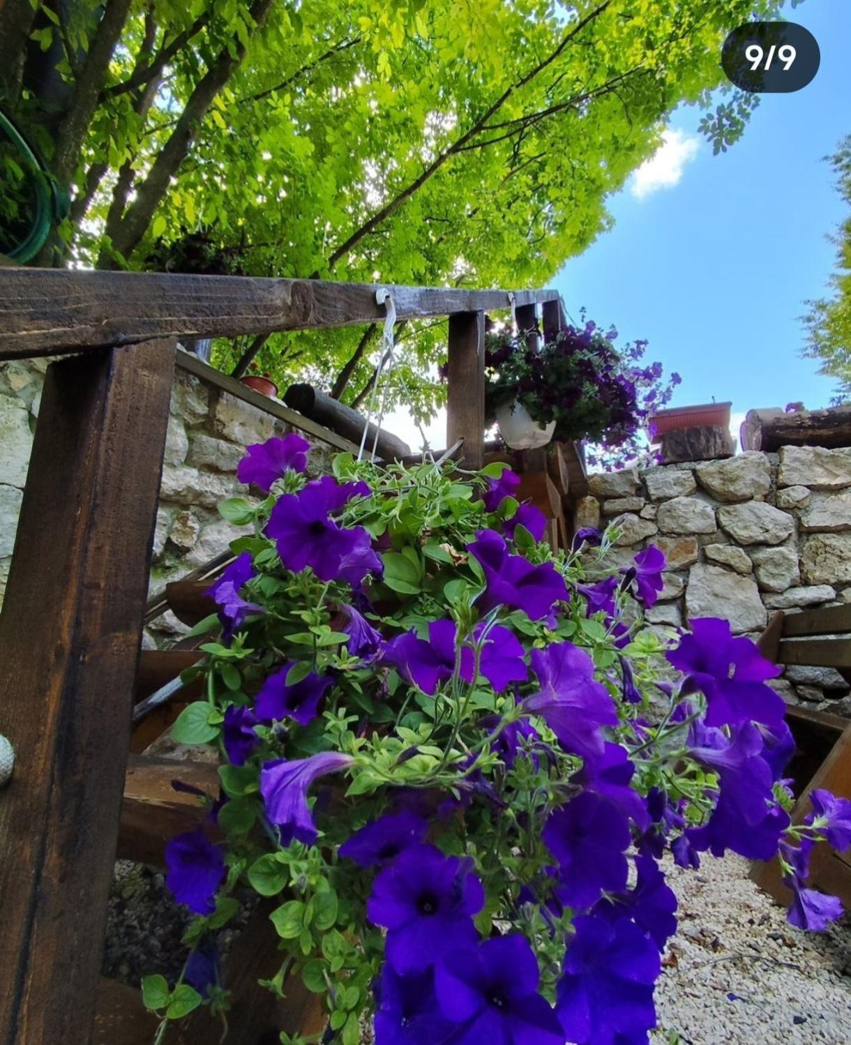 Brvnara Fairy Tale Villa Цетине Екстериор снимка